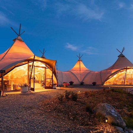 Under Canvas Acadia Surry Екстер'єр фото