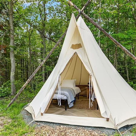 Under Canvas Acadia Surry Екстер'єр фото
