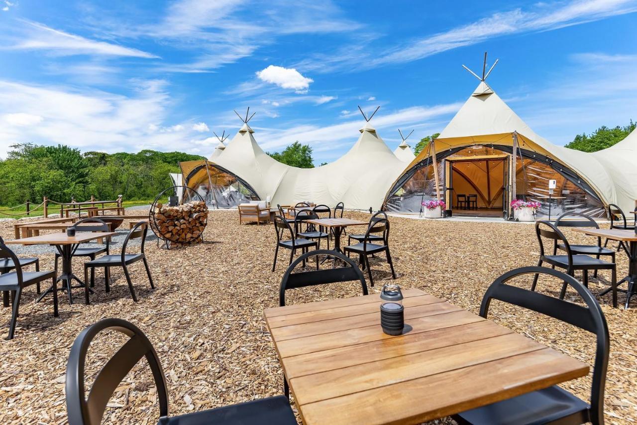 Under Canvas Acadia Surry Екстер'єр фото
