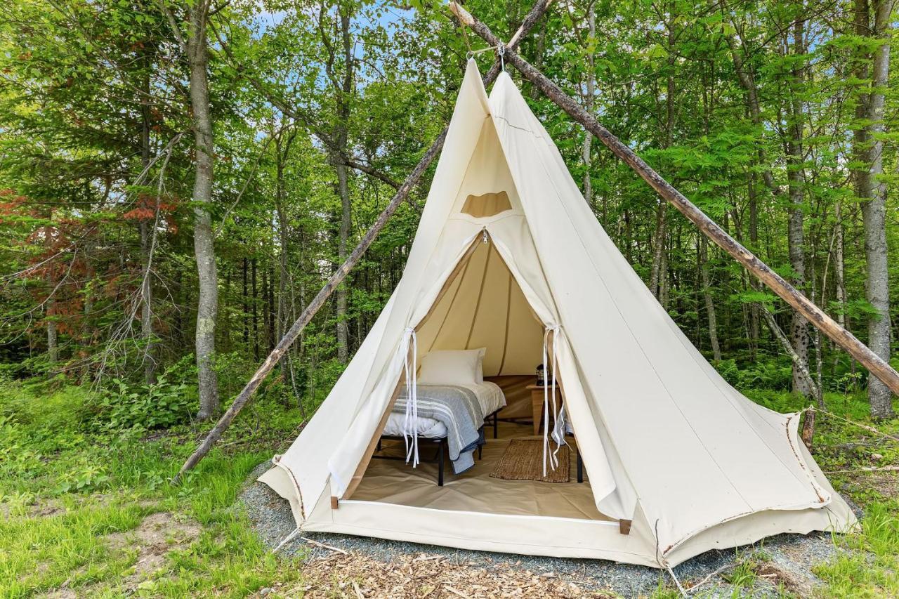 Under Canvas Acadia Surry Екстер'єр фото
