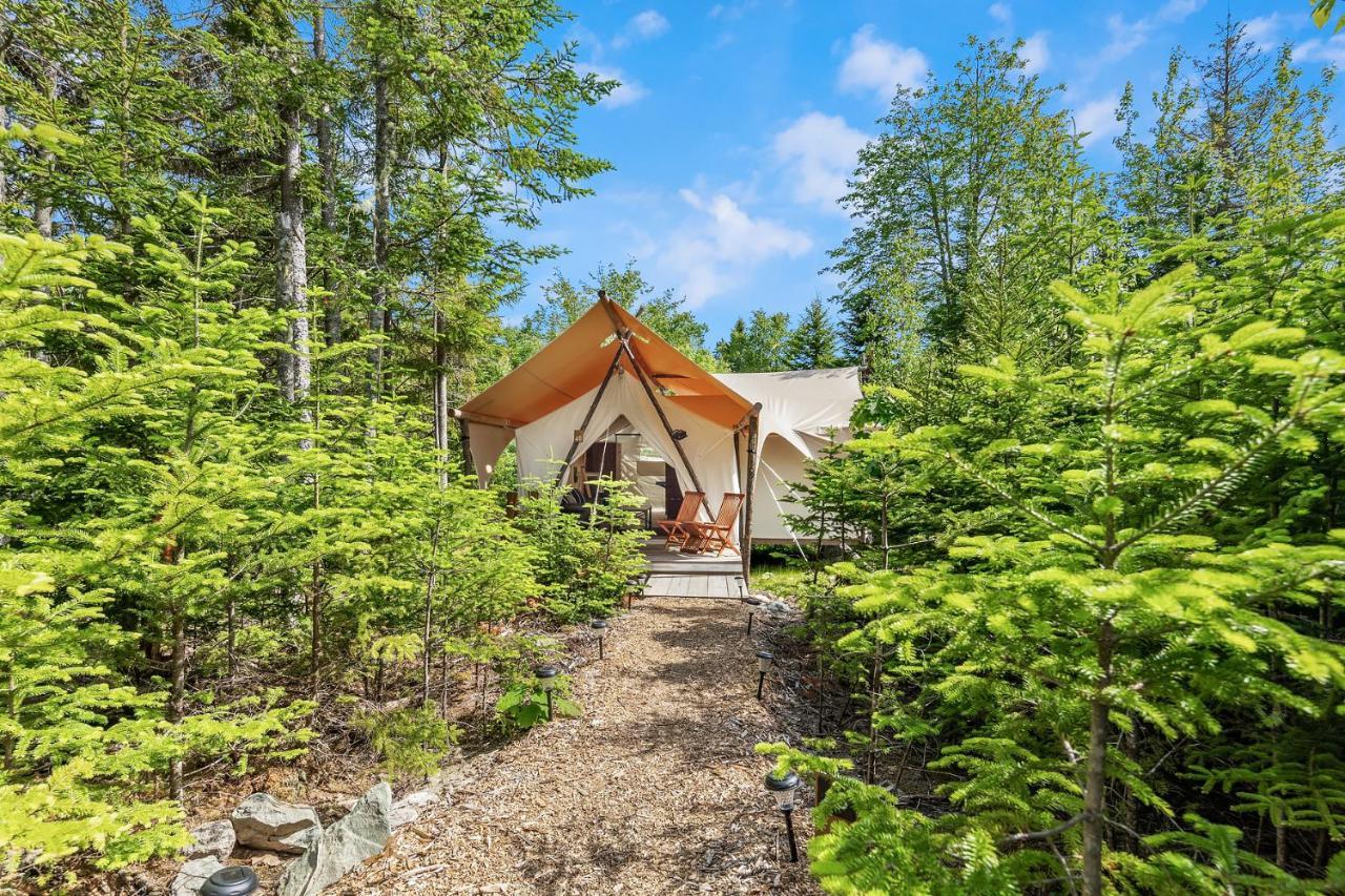Under Canvas Acadia Surry Екстер'єр фото